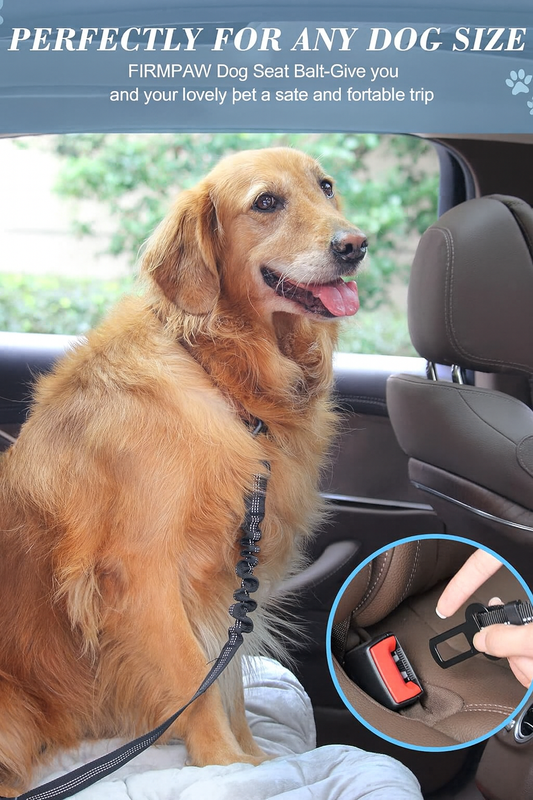 Safety Dog Seat Belts – Adjustable, Reflective & Bungee Buffer for Car Travel (2 Pack)