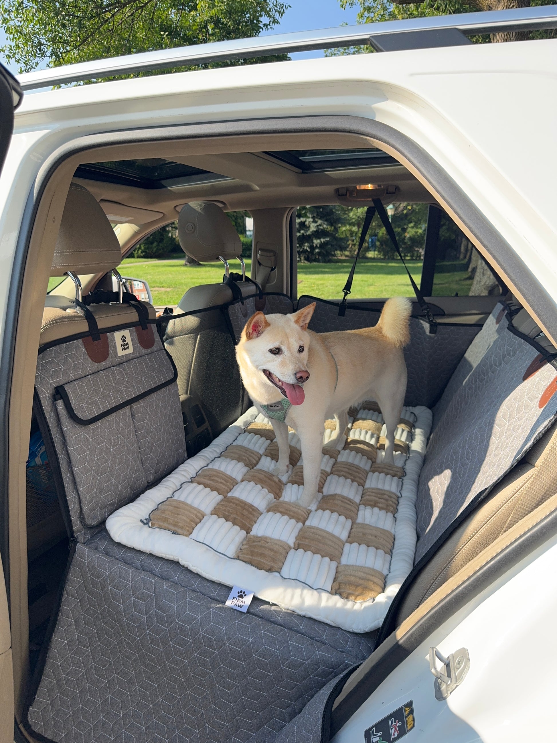 A light cream Shiba Inu dog stands on a checkered gray and beige dog car bed installed in the back seat of a white vehicle, with a grassy lawn visible through the rear window.