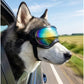 Dog Goggles for Medium to Large Dogs