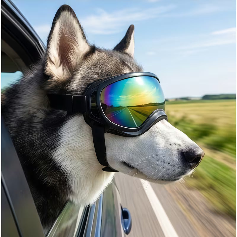 Dog Goggles for Medium to Large Dogs