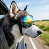 Dog Goggles for Medium to Large Dogs